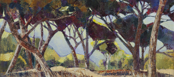 Coastal Pines I | 2016 | Oil on Canvas | 36 x 52 cm